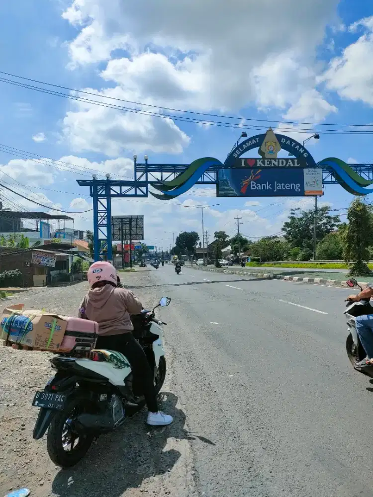 Anik niswati