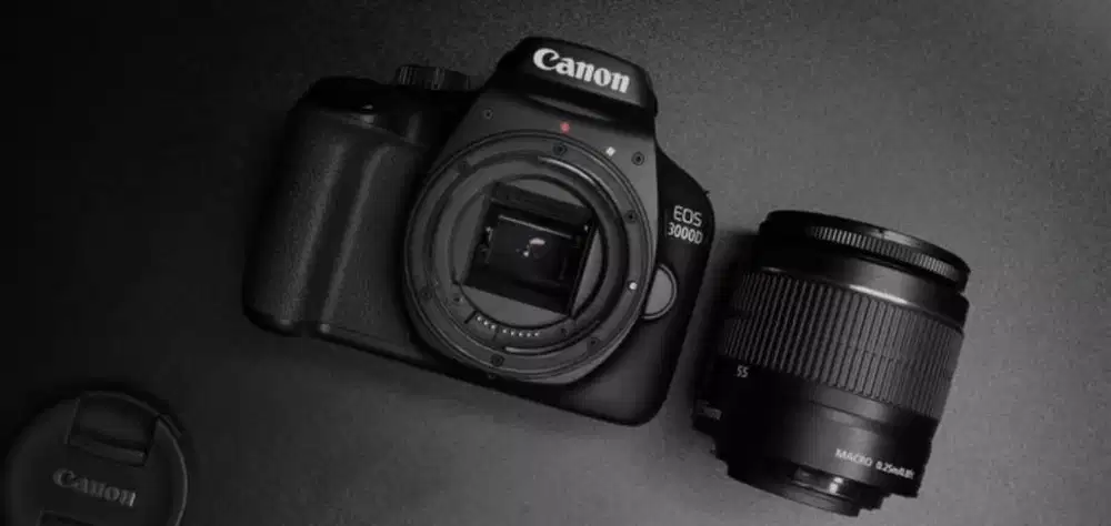 Dicari FOTOGRAFER