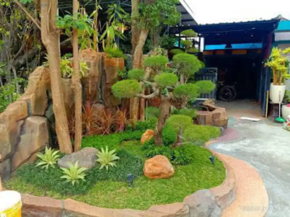 Jasa pasang taman untuk taman anda yg berantakan