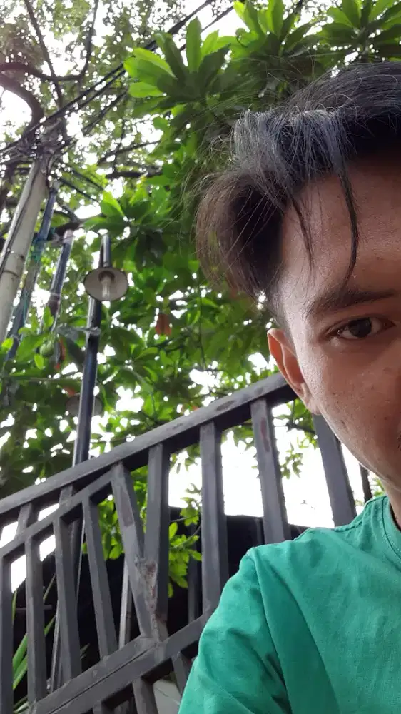 dwi saveruly