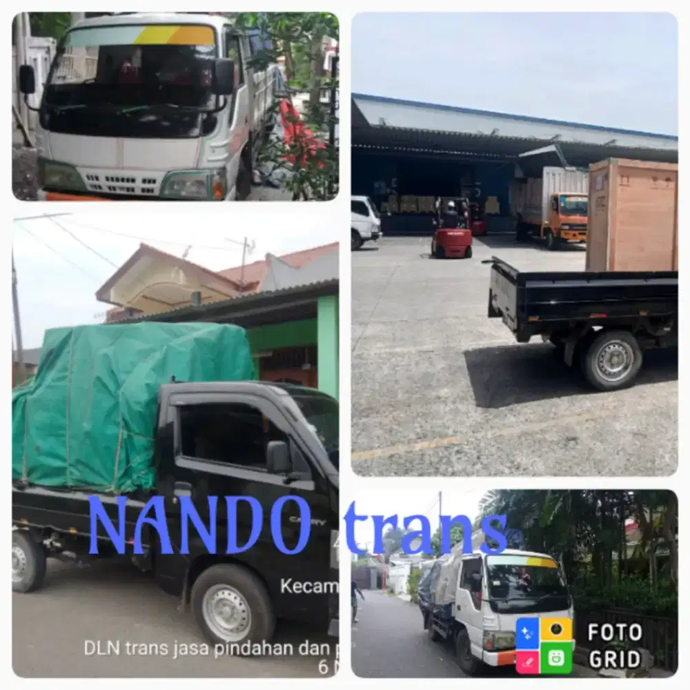 Nando trans