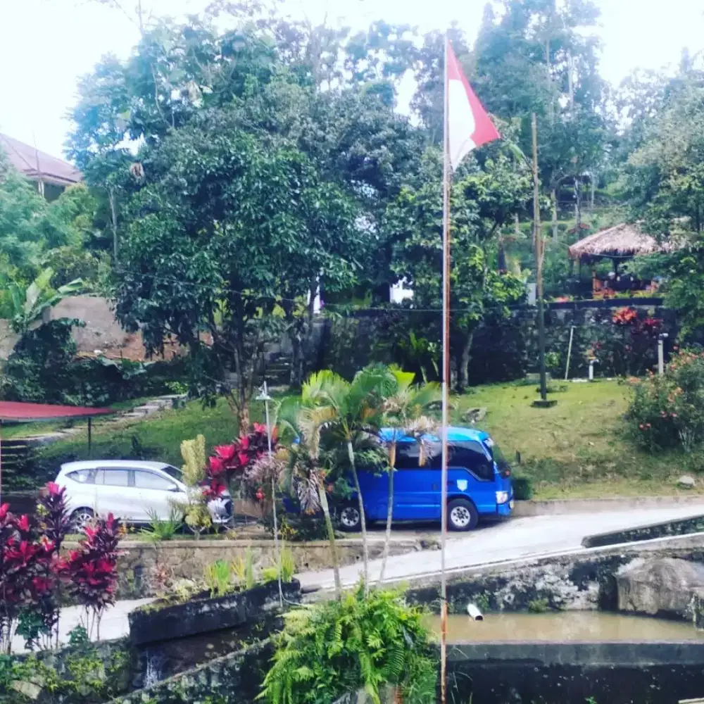 Dina