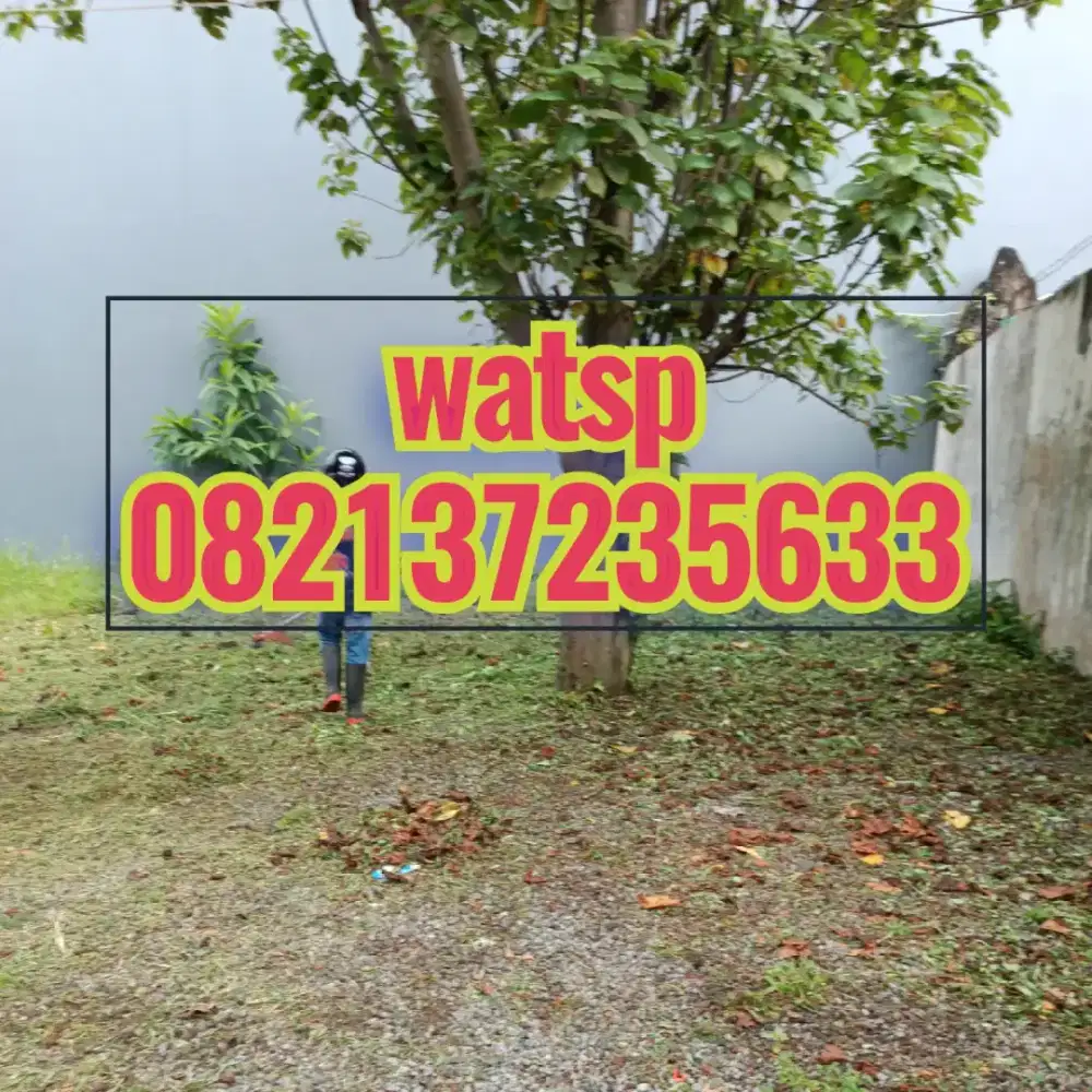 Hnya watsp