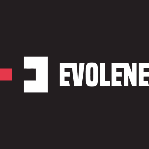 Purchasing Staff - PT. Evolene Group