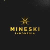 Tax & Treasury Manager - PT. Mineski Indonesia
