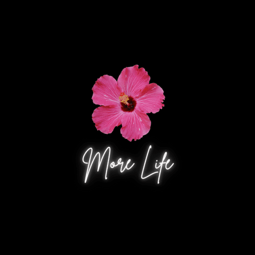 Content Creator - PT. CV More Life Jaya