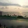 DagoPet