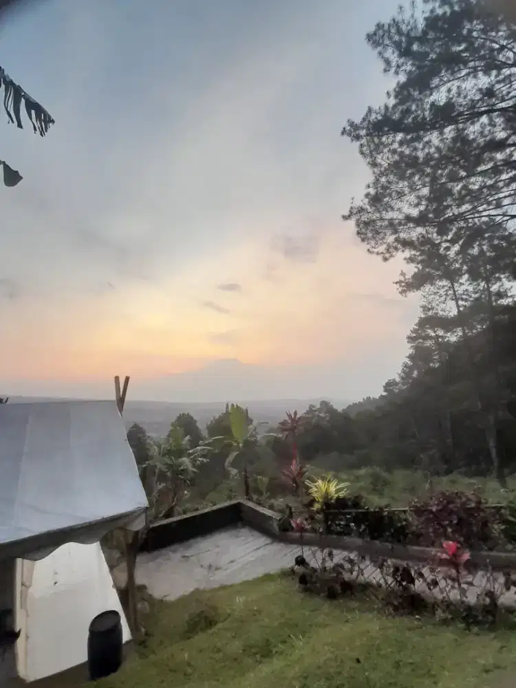 Senja Dwi Oktavia