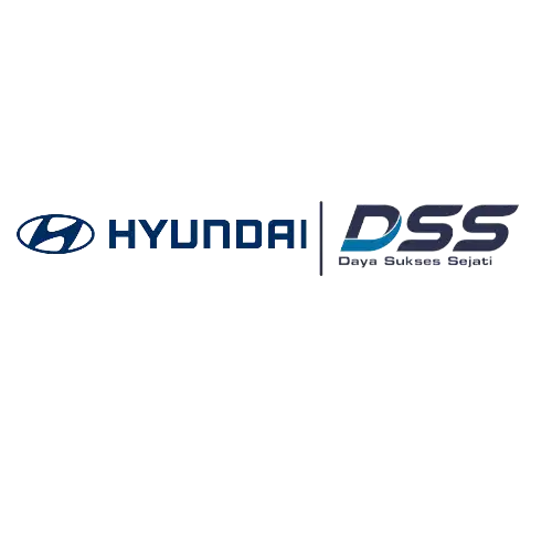 Hyundai DSS