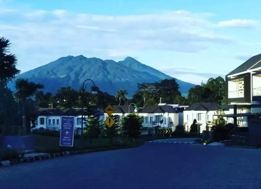 Berjuang Menang