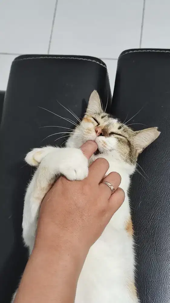 777