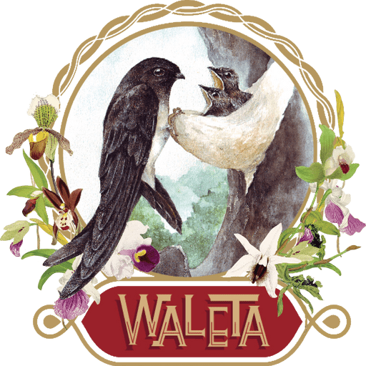 Teknisi Bangunan & Drafter - PT. PT Waleta Asia Jaya