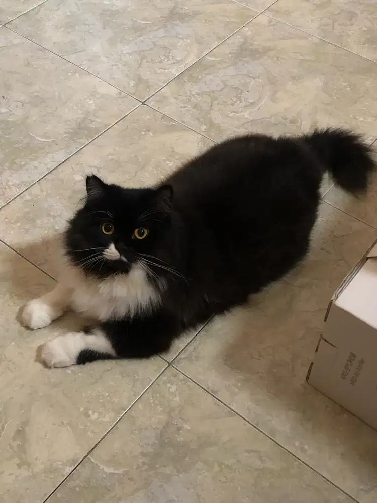 Laura