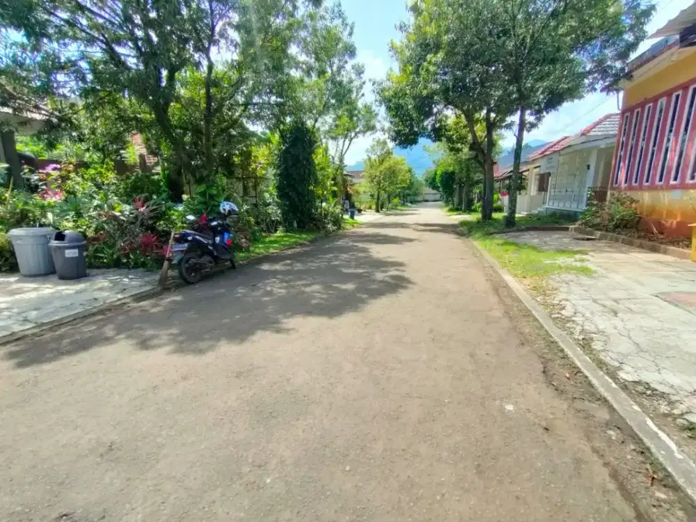 yudi
