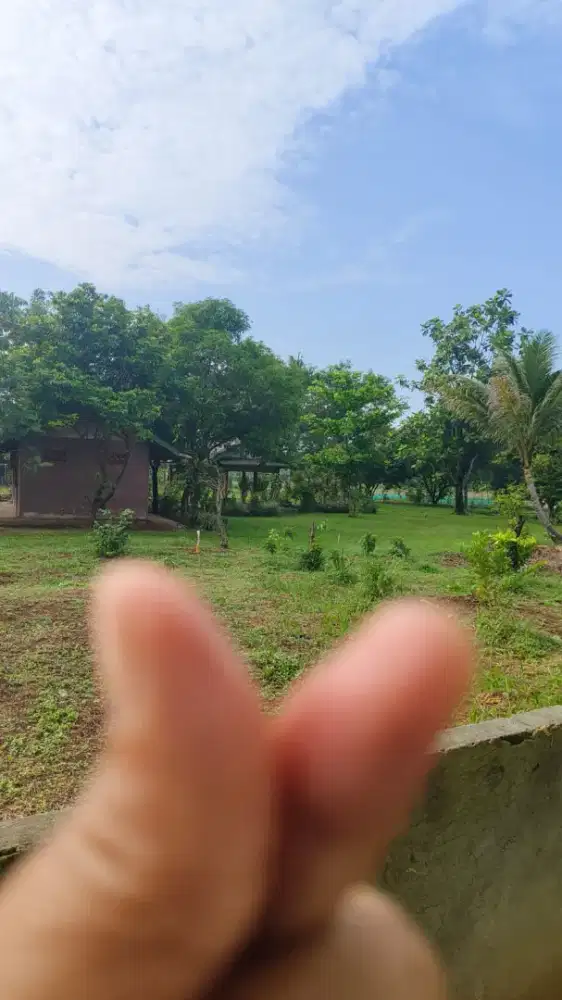 Sasi