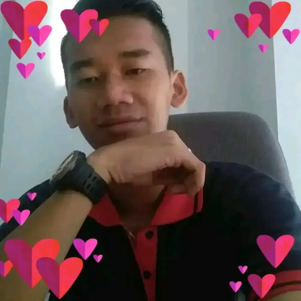 willy budi s
