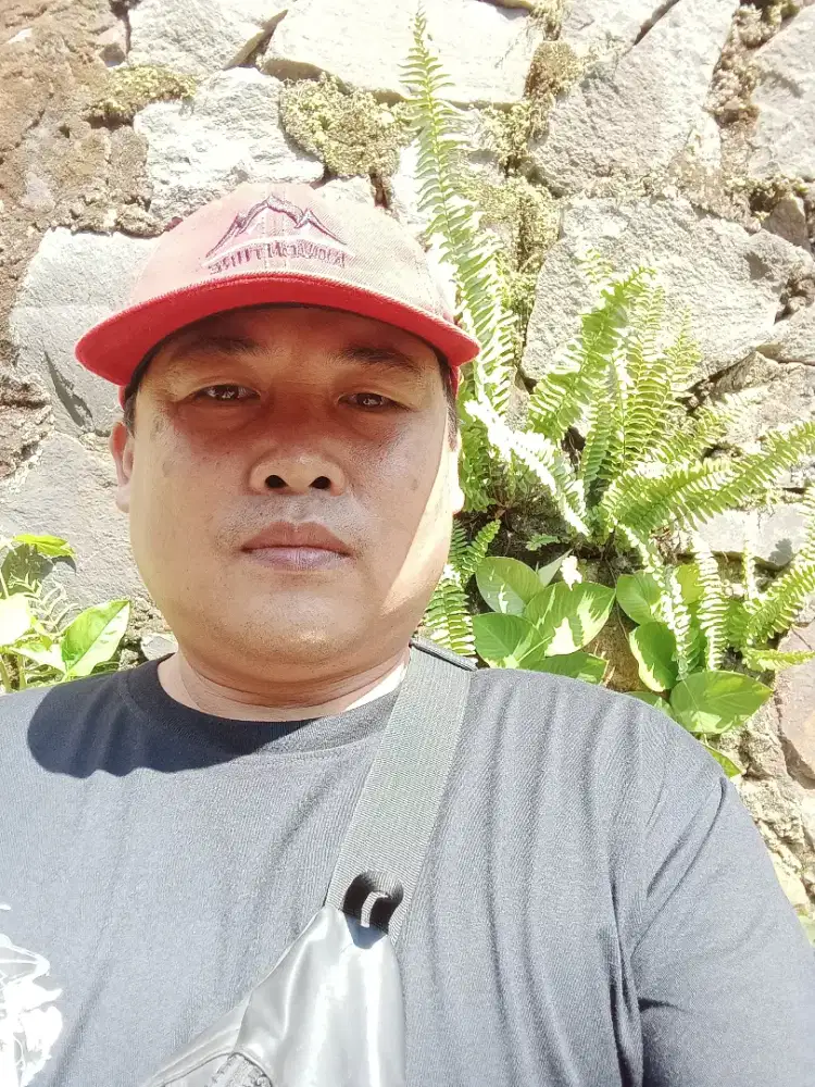 Jasa bangun mandiri
