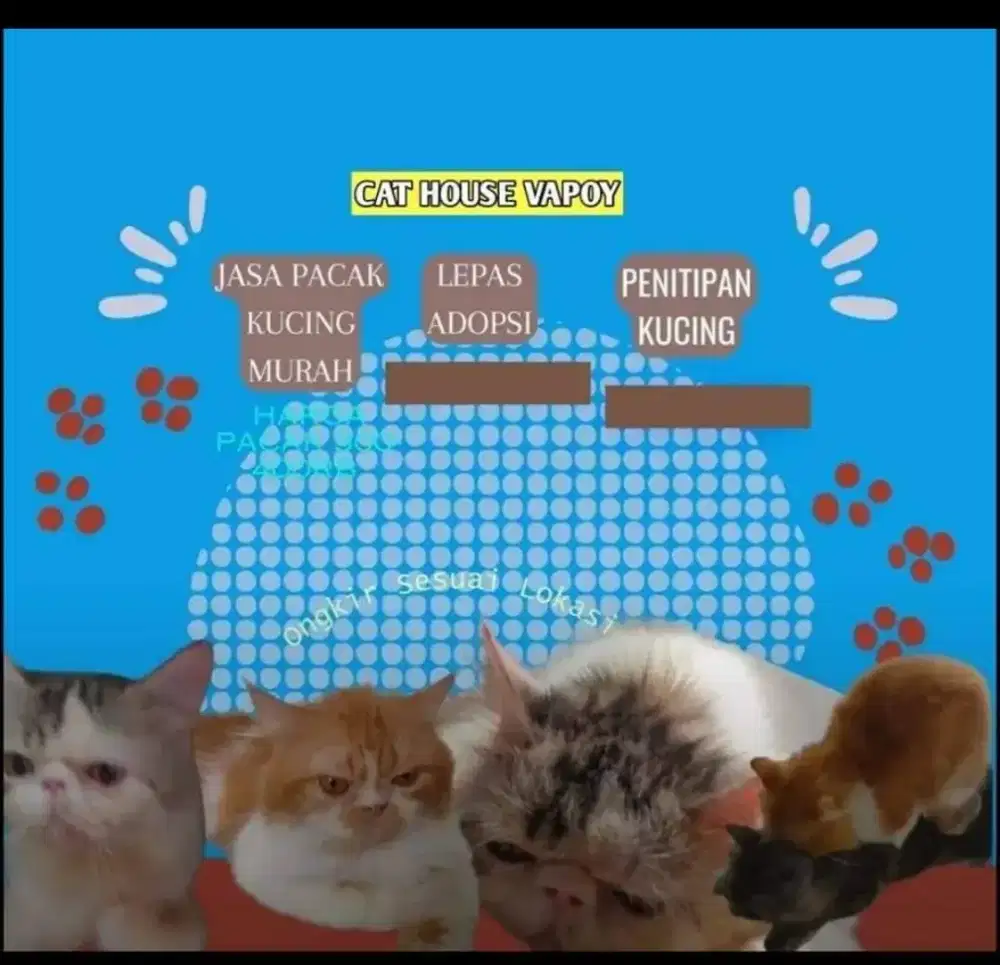 Vapoy cat house