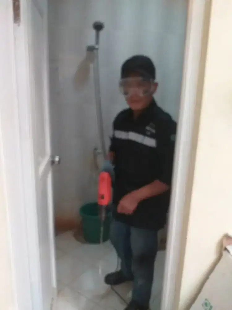 Solusi Pest