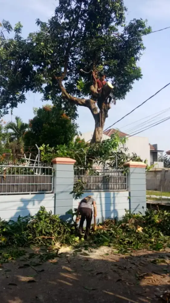 Tukang tebang pohon & rumput