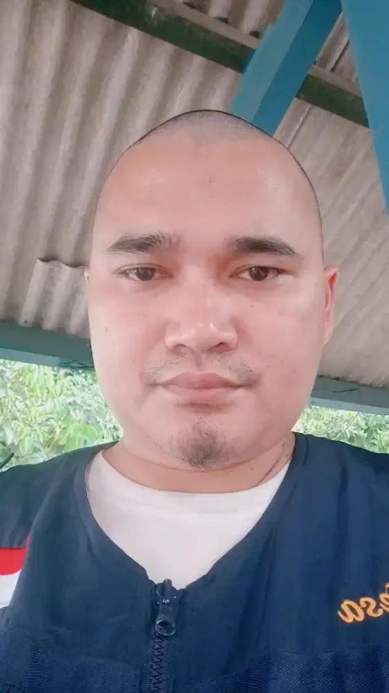 teza budiman