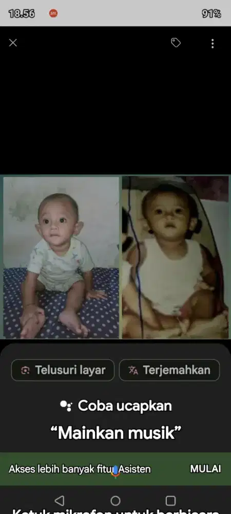 DARMA FAUZI 