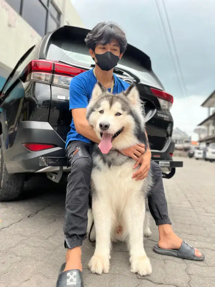 Afrizal syarif