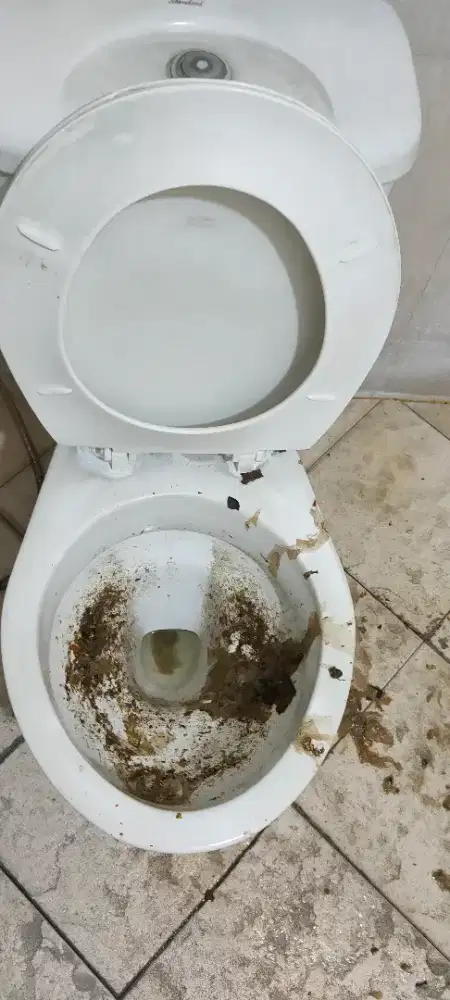 Ahli mampet dan sedot wc