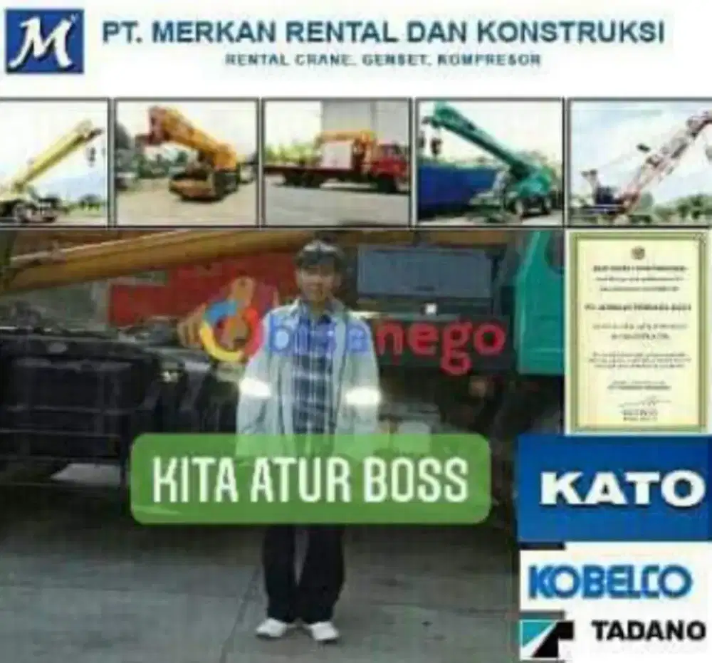 Rental Aneka Crane