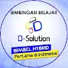 D Solution IT