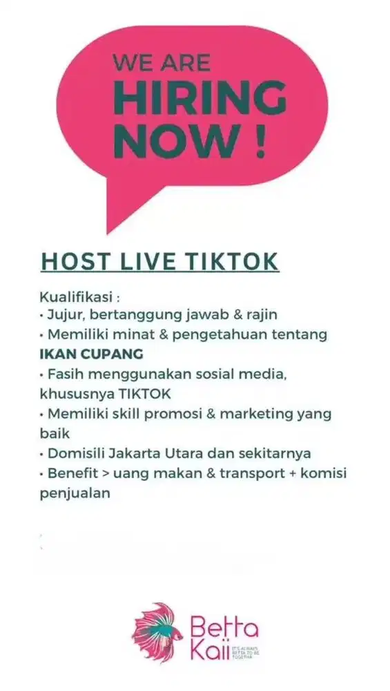Lowongan HOST TIK TOK IKAN CUPANG BETTA KAII