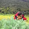Ilham