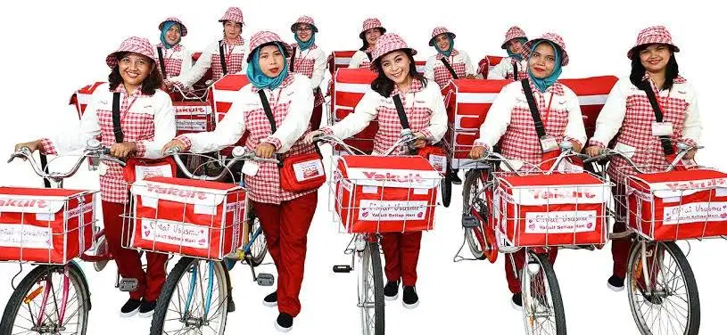 rekrutor yakult lady