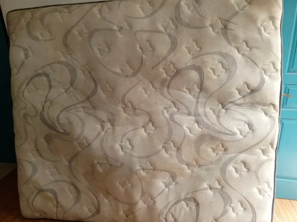 Jasa cuci sofa kasur springbed karpet jok mobil dll