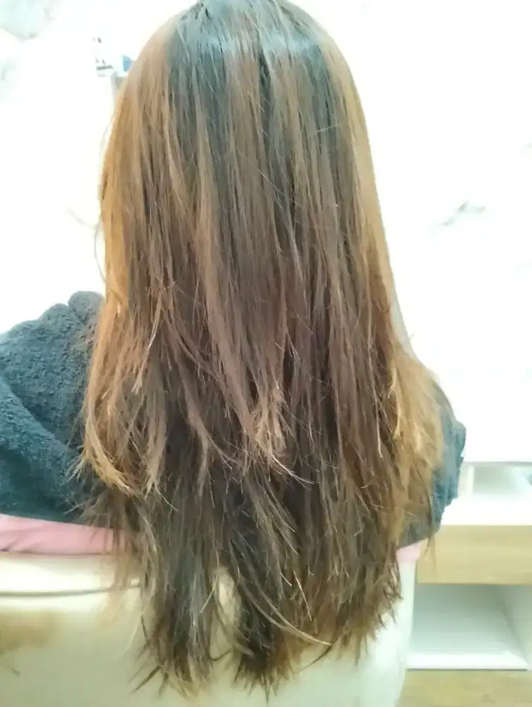 Dicari terapis salon wanita