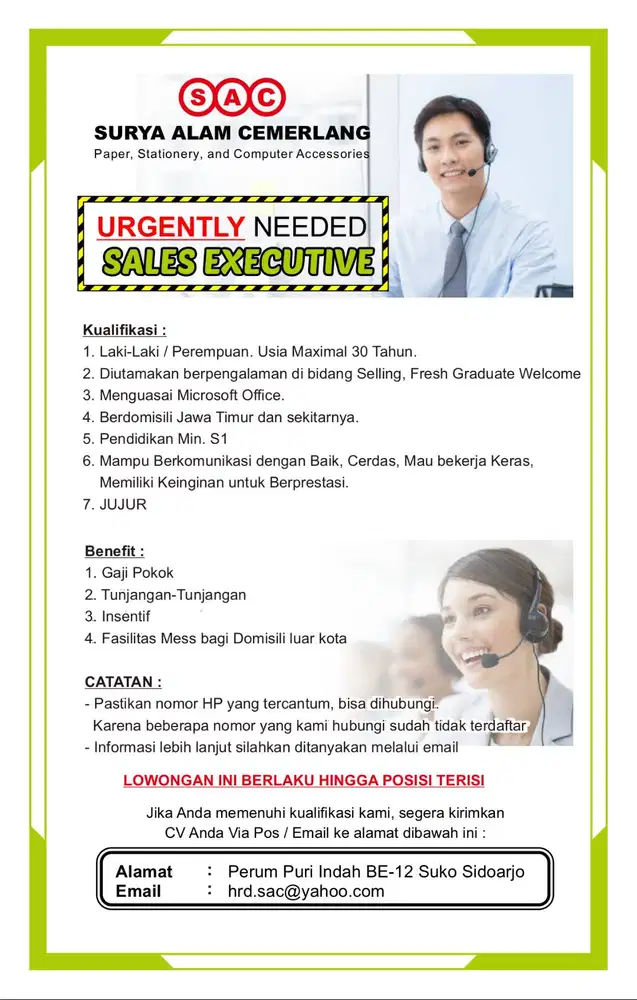 SALES EXECUTIVE