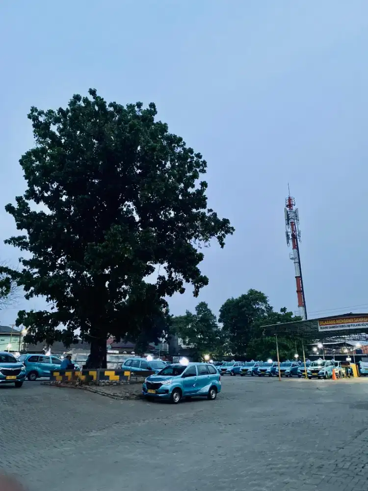 Avanza mibilio kalibata Garace