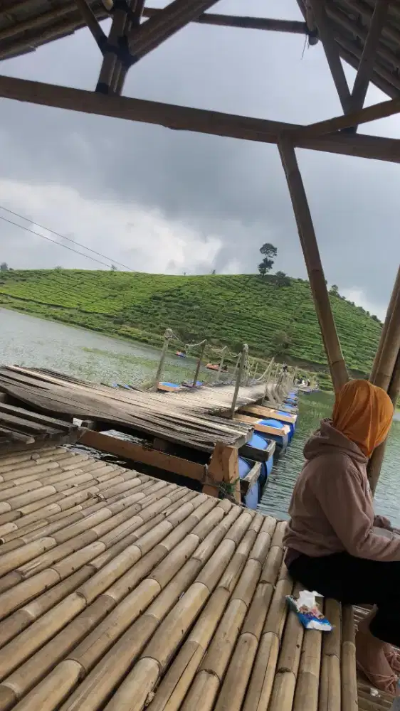 Indri