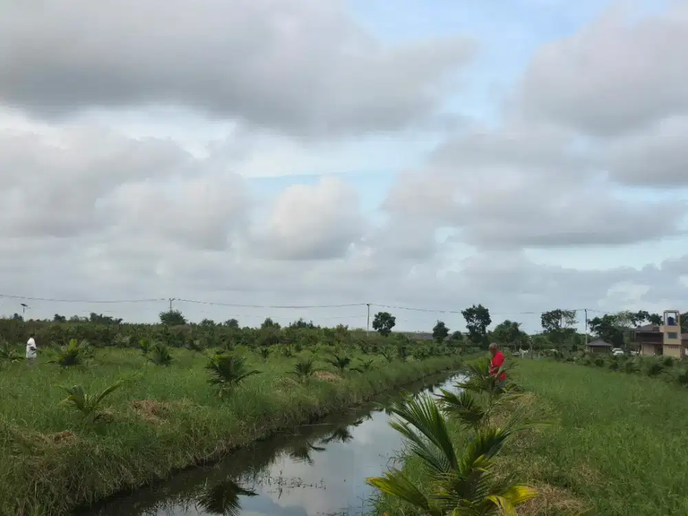 Tenaga Kerja Kebun