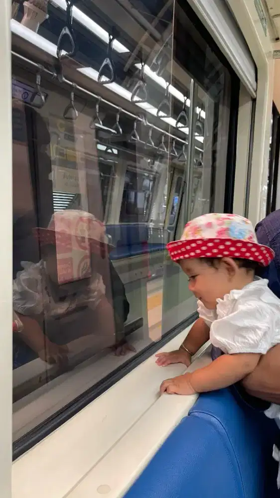 Baby sitter (pulang-pergi)