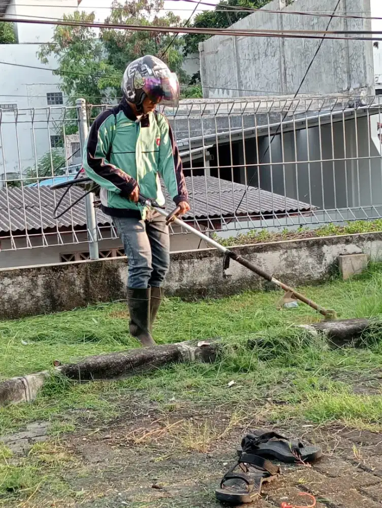 Jasa potong rumput
