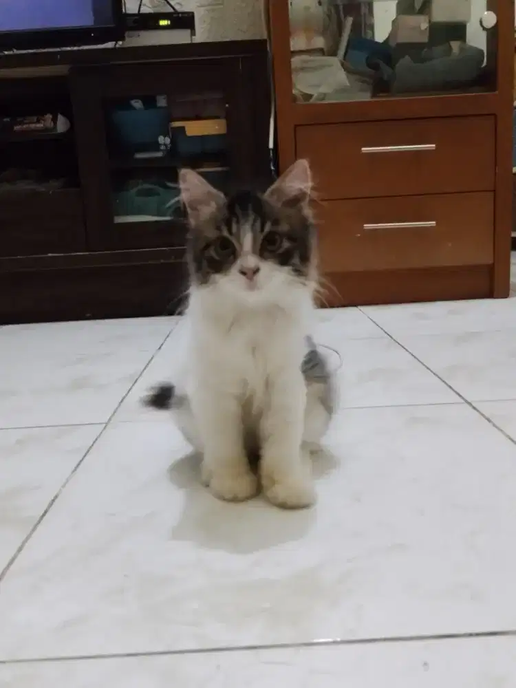 Saya cari pekerjaan apa aja insya allah yg berkah aja