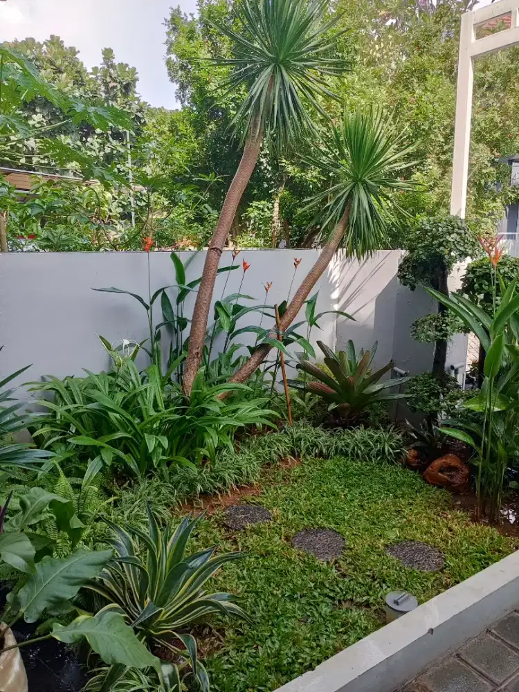 Perawatan taman