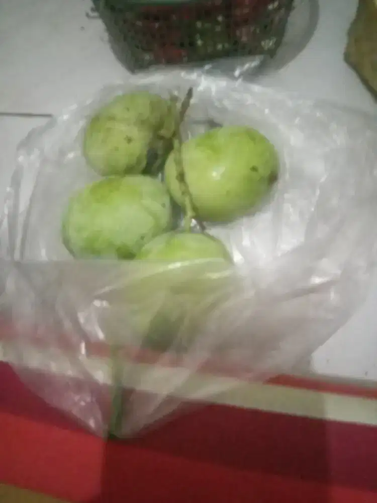 Saya mencari kerja asuh anak /art