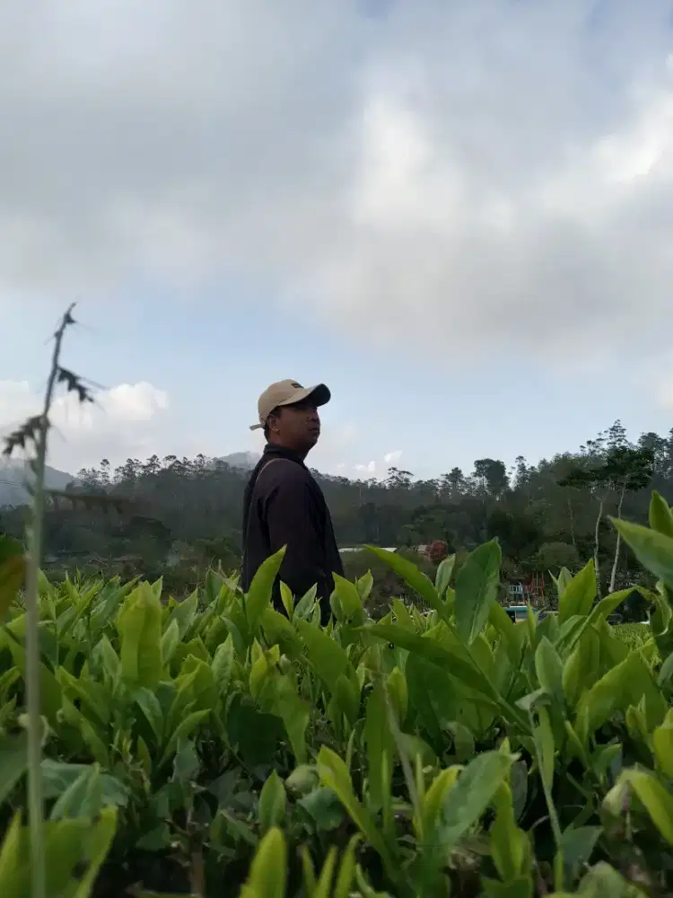 Cari lowongan driver