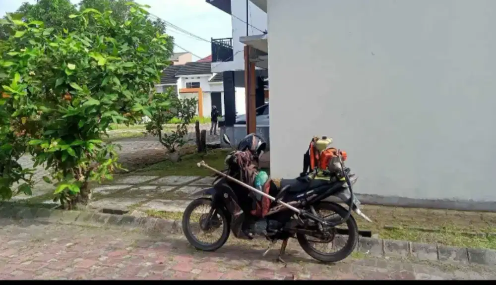 Potong rumput panam sekitar