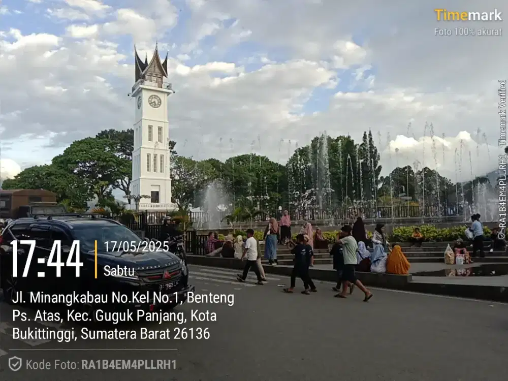 Supir pribadi kota dan luar kota