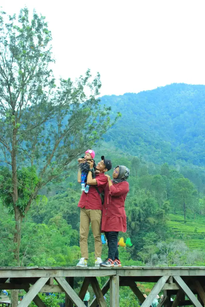 sandinur290