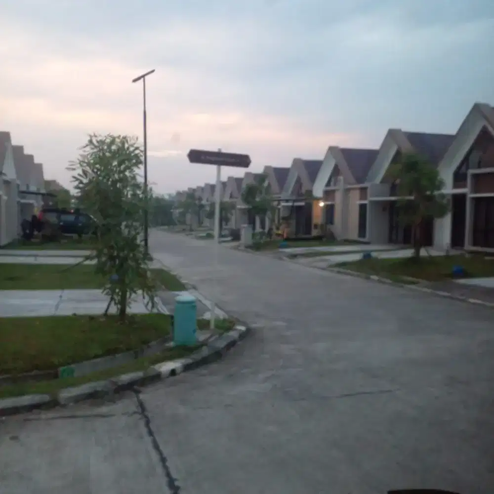 Dicari Admin untuk Livestreming