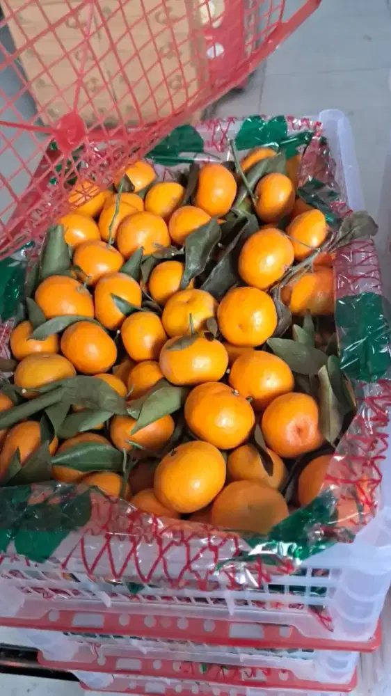 Kasir ,Administrasi dan Pelayanan Di toko Buah
